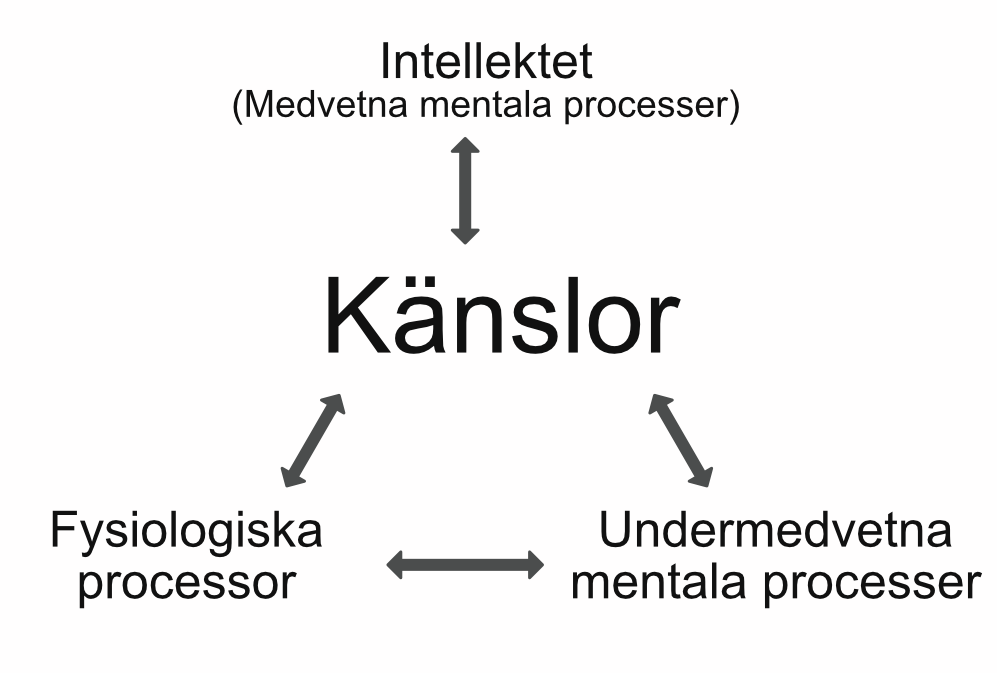 Känslor som gränssnitt